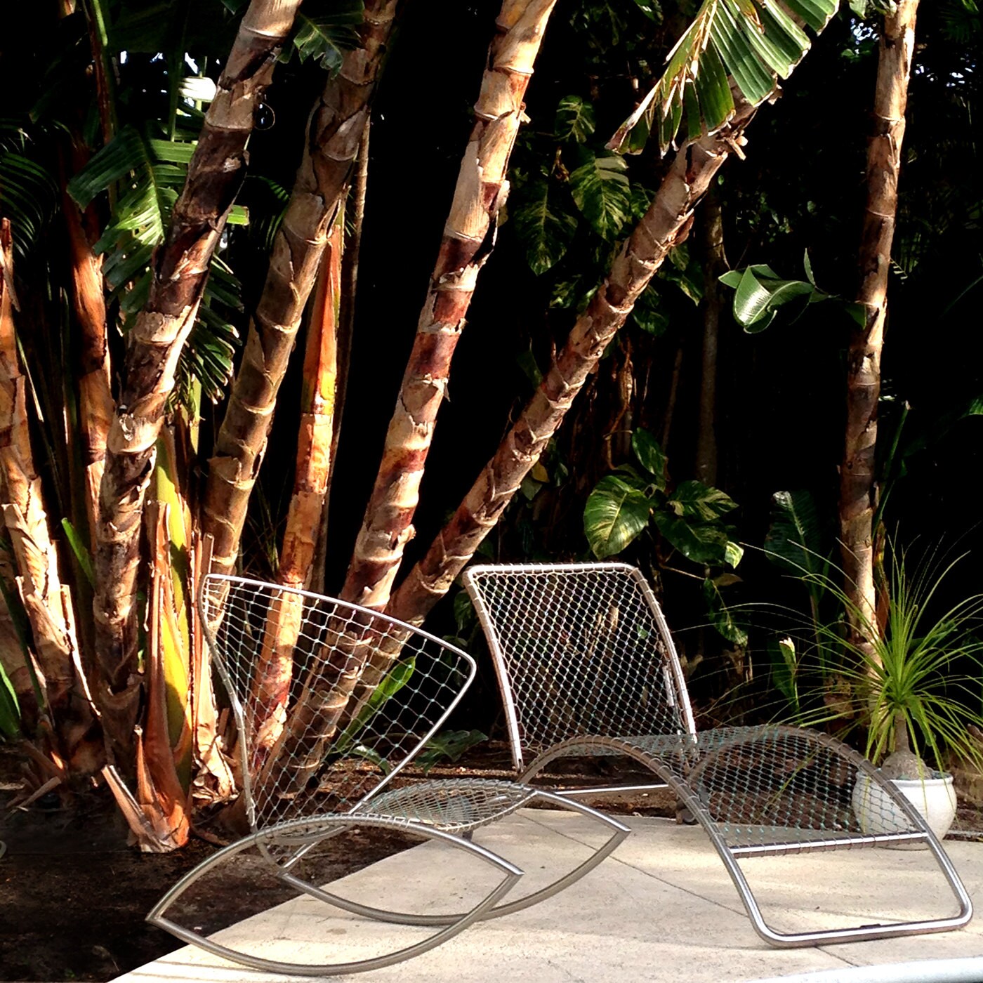 Amazing Pair of Mid Century Modern German Rocking Chairs Rare
